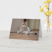 Carte Hosico est assis sur le sol (Fleur jaune)
