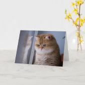 Carte Hosico joues fluffy (Fleur jaune)