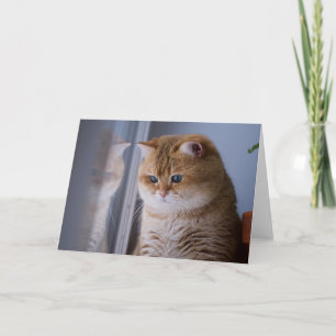 Carte Hosico joues fluffy