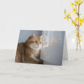Carte Hosico regarde par la fenêtre (Fleur jaune)