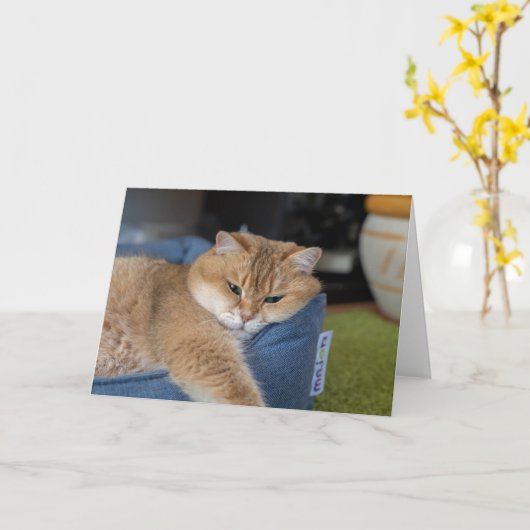 Carte Hosico se repose (Fleur jaune)