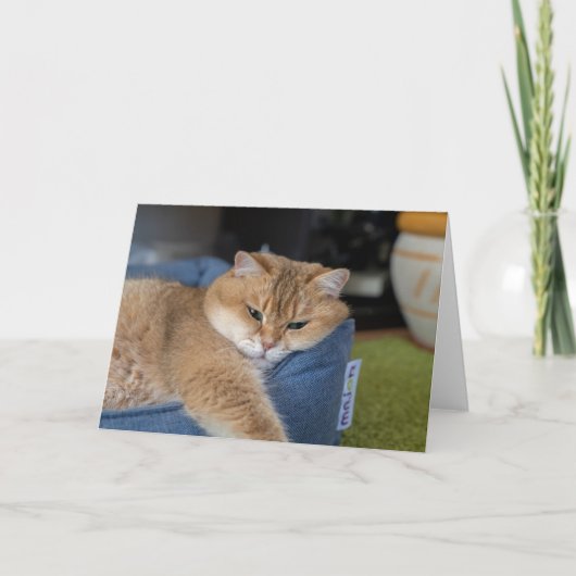 Carte Hosico se repose (Devant)