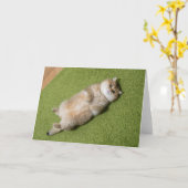 Carte Hosico sur le tapis (Fleur jaune)