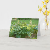 Carte Hosta (Fleur jaune)