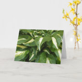 Carte Hosta Feuilles (Fleur jaune)