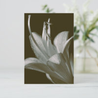 Hosta Flower Photographie, Elégant Sepia Vintage