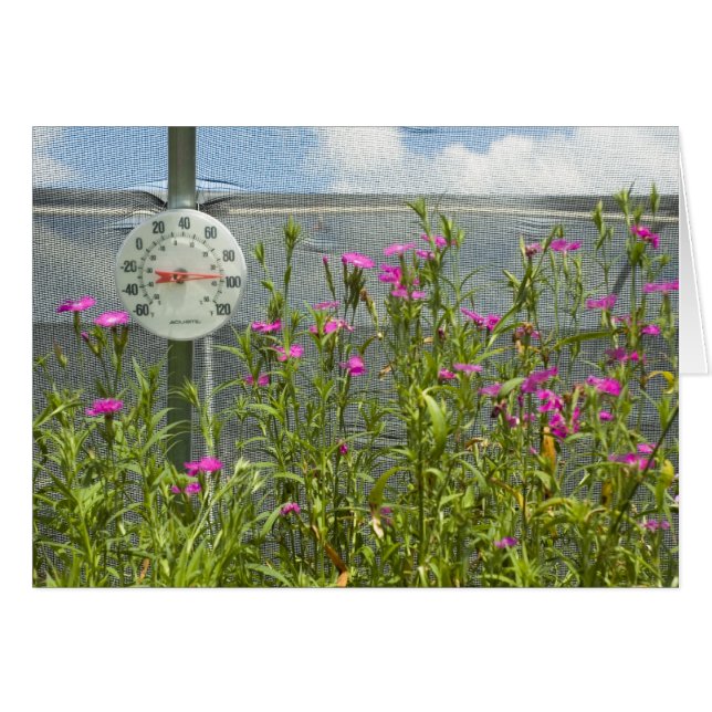 Carte Hot House Nursery (Devant horizontal)
