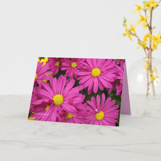 Carte Hot rose (Fleur jaune)