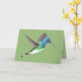 Carte Hovering Jacobin Hummingbird - transparent. (Fleur jaune)
