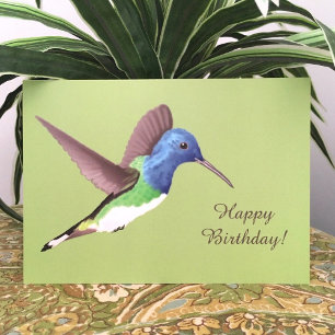 Carte Hovering Jacobin Hummingbird - transsp. anniversai