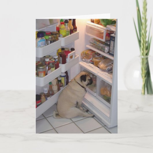 Carte Howie Pee Pugpants (Devant)