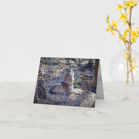 Carte Howling Wolf (Fleur jaune)