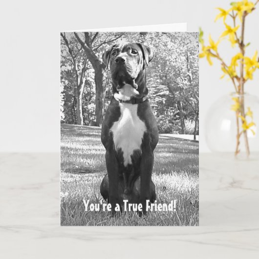 Carte Hudson (Fleur jaune)