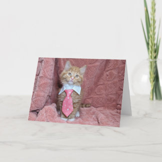 Carte Huey le chaton dans une cravate rose