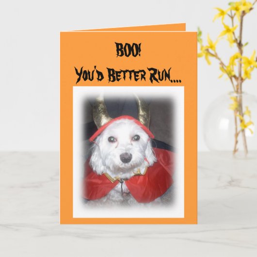 CARTE HUEZ ! (Fleur jaune)