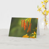 Carte Humboldt Lily Stamens (Fleur jaune)