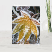 Carte Humbug Barre (Dos)