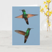 Carte Humminbirds (Fleur jaune)