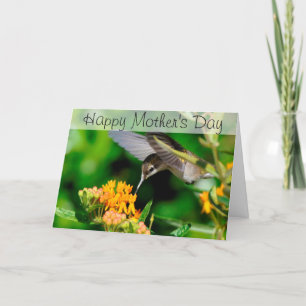 Carte Humming Bird Happy Mother's Day Card