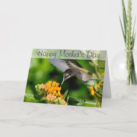 Carte Humming Bird Happy Mother's Day Card (Devant)