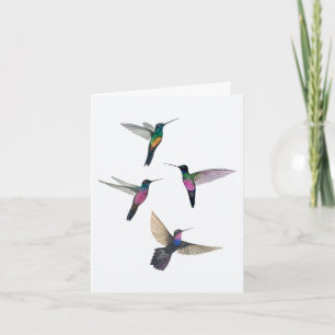 Carte Hummingbirds de Starfront