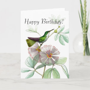Carte Hummingbirds Oiseaux Fleurs Animaux floraux Faune