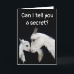 CARTE HUMORISTIQUE "EN RETARD" ANNIVERSAIRE MAIS SANS FA<br><div class="desc">MERCI D'ÊTRE PASSÉ PAR L'UNE DE MES HUIT BOUTIQUES !! VOUS VOULEZ ENVOYER À UN AMI OU À UN PROCHE "UNE CARTE D'ANNIVERSAIRE AMUSANTE ET HEUREUSE MALGRÉ LE RETARD" ? ALORS CE COUPLE DE CHÈVRES LES AIDERA À VOUS PARDONNER D'ÊTRE EN RETARD,  C'EST SÛR !!!!!</div>