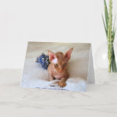 Carte humoristique sur la chimiothérapie et le cha (Dos)