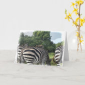 Carte Humoristique Zebra Derrière Se Bien (Fleur jaune)
