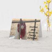 Carte Humorous Old Adult Birthday (Fleur jaune)