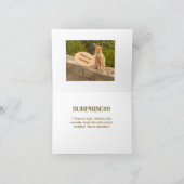 Carte Humour/Amitié/ SURPRISE ! (IL N'Y A PAS DE SURPRIS (Intérieur)