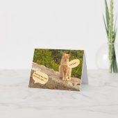 Carte Humour/Amitié/ SURPRISE ! (IL N'Y A PAS DE SURPRIS (Devant)