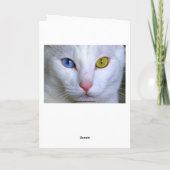 Carte Humour angora turc de chat de joyeux anniversaire (Dos)