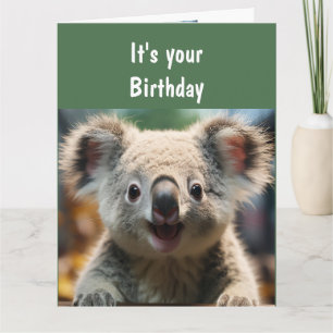 Carte Humour animal amusant Koala Koality Amusant