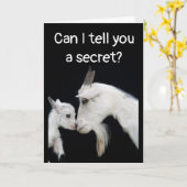 CARTE HUMOUR ANNIVERSAIRE "BATTU", PAS DE PETIT BESOIN ! (Fleur jaune)