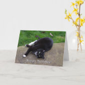 Carte Humour Chat Anniversaire (Fleur jaune)