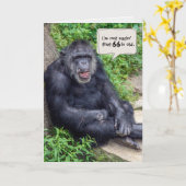 Carte humour chimpanzé pour 66e anniversaire (Fleur jaune)