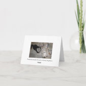 Carte Humour chiot d'amitié (Dos)