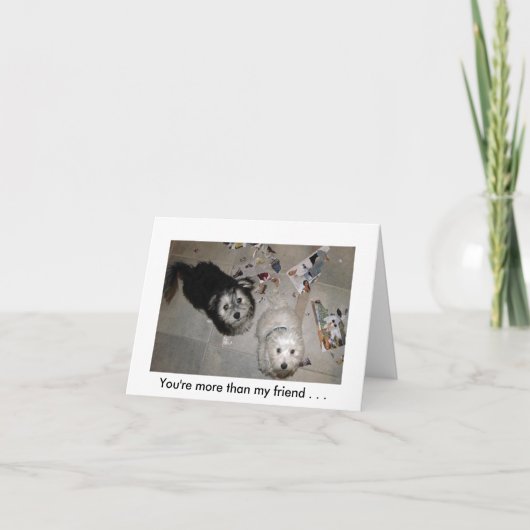 Carte Humour chiot d'amitié (Devant)