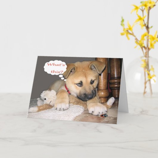 Carte Humour comique d'anniversaire (Fleur jaune)