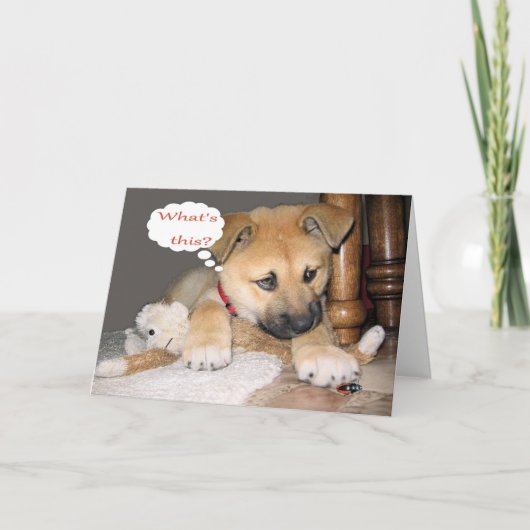 Carte Humour comique d'anniversaire (Devant)