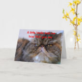 Carte Humour d'anniversaire Calico Persian Kitty Card (Fleur jaune)