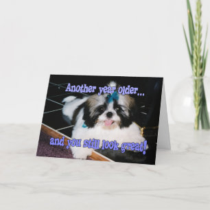 Carte Humour d'anniversaire - Chiot Shih-Tzu mignon