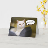 Carte Humour d'anniversaire de chat blanc (Fleur jaune)