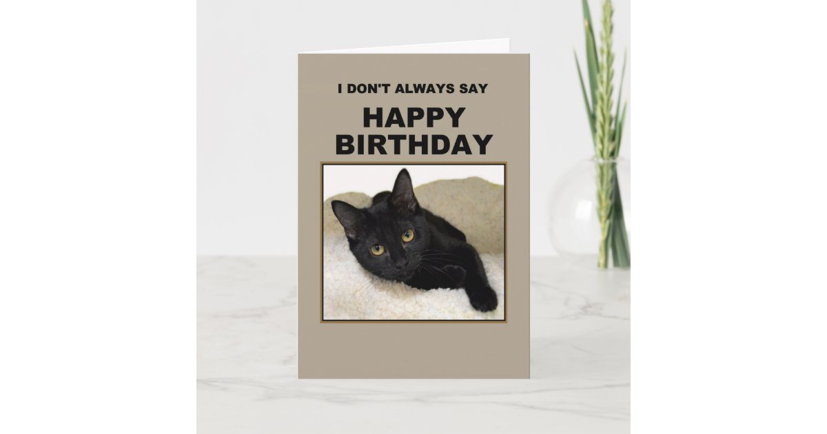 Carte Humour D Anniversaire De Chat Noir Zazzle Be