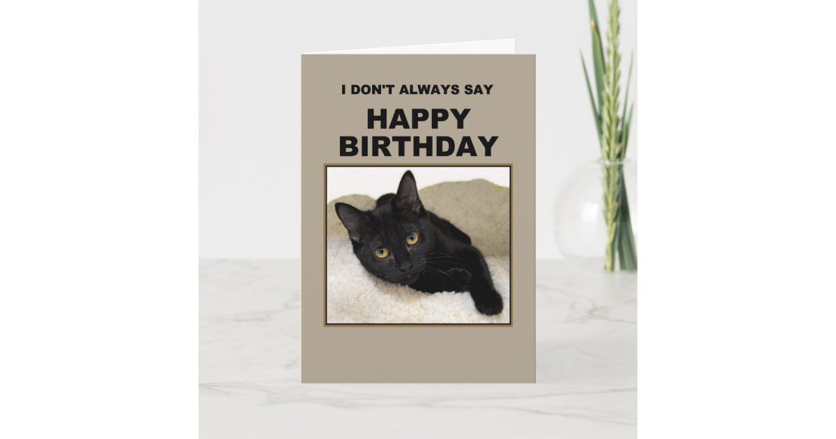Carte Humour D Anniversaire De Chat Noir Zazzle Be Carte Humour D Anniversaire De Chat Noir Zazzle Be