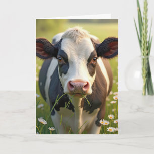 Carte Humour d'anniversaire de Holstein Cow