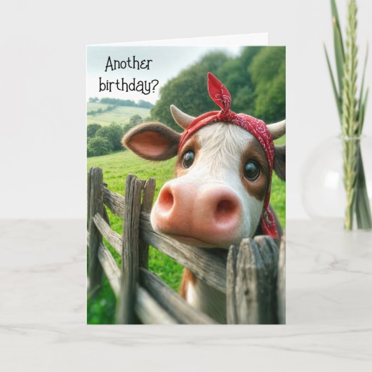 Carte Humour d'anniversaire de la vache Heifer (Devant)