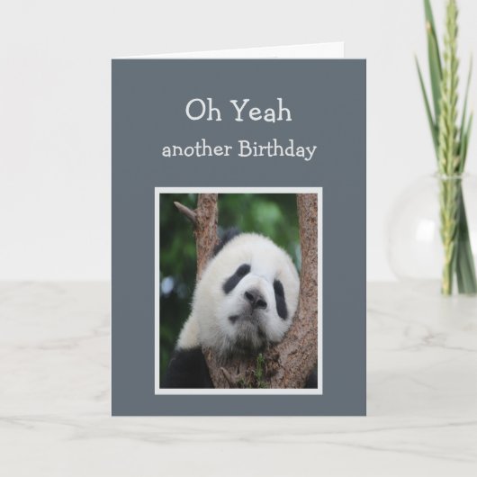 Carte Humour d'anniversaire de l'ours de Panda triste (Devant)