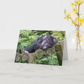 Carte Humour d'anniversaire de Napping Chimpanzee (Fleur jaune)